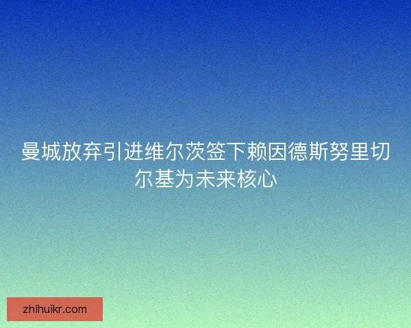 曼城放弃引进维尔茨签下赖因德斯努里切尔基为未来核心
